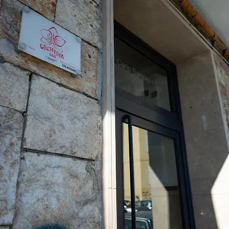 Couette-café Orchidea Salernes