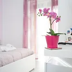 Orchidea 3*
