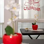 Orchidea Couette-café 3*