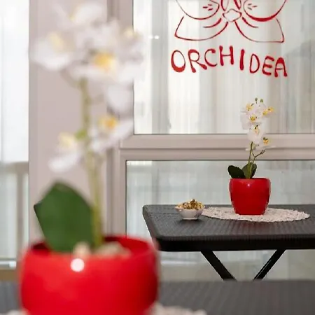 Orchidea فندق مبيت وإفطار 4*
