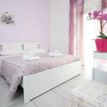 Orchidea