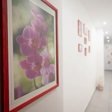 Orchidea