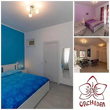 Orchidea 4*