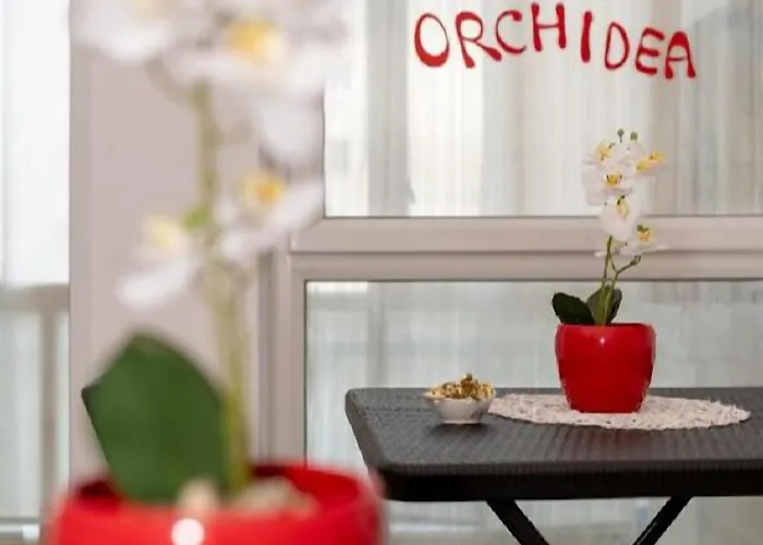 Orchidea فندق مبيت وإفطار 4*